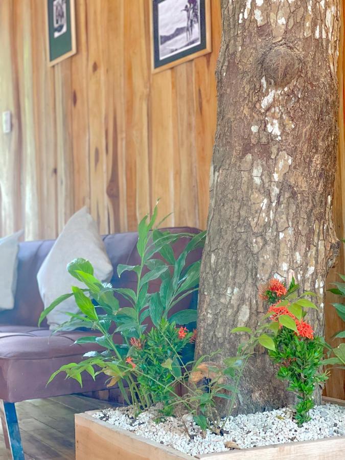 El Gato Rojas Surf Hostel Playa Santa Teresa  Zewnętrze zdjęcie