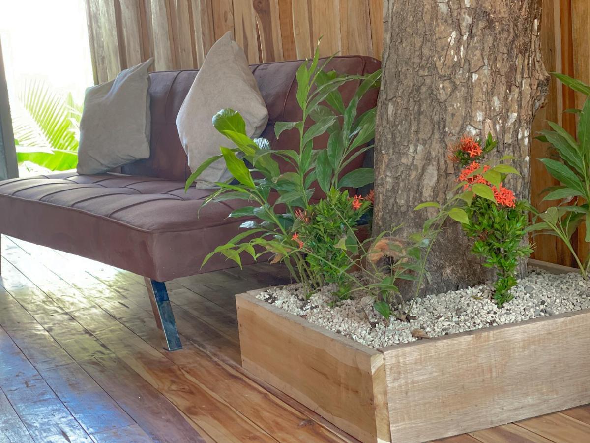 El Gato Rojas Surf Hostel Playa Santa Teresa  Zewnętrze zdjęcie