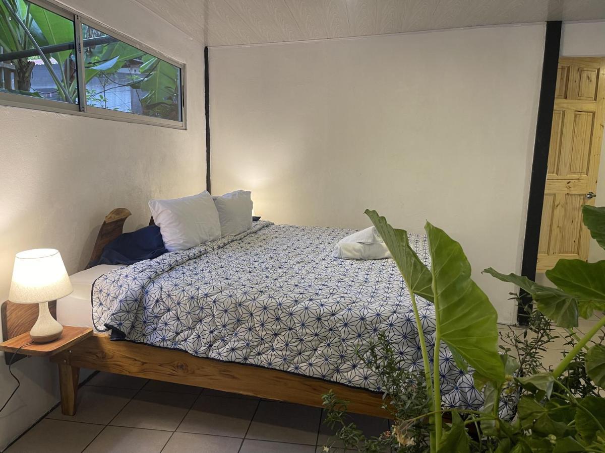 El Gato Rojas Surf Hostel Playa Santa Teresa  Zewnętrze zdjęcie
