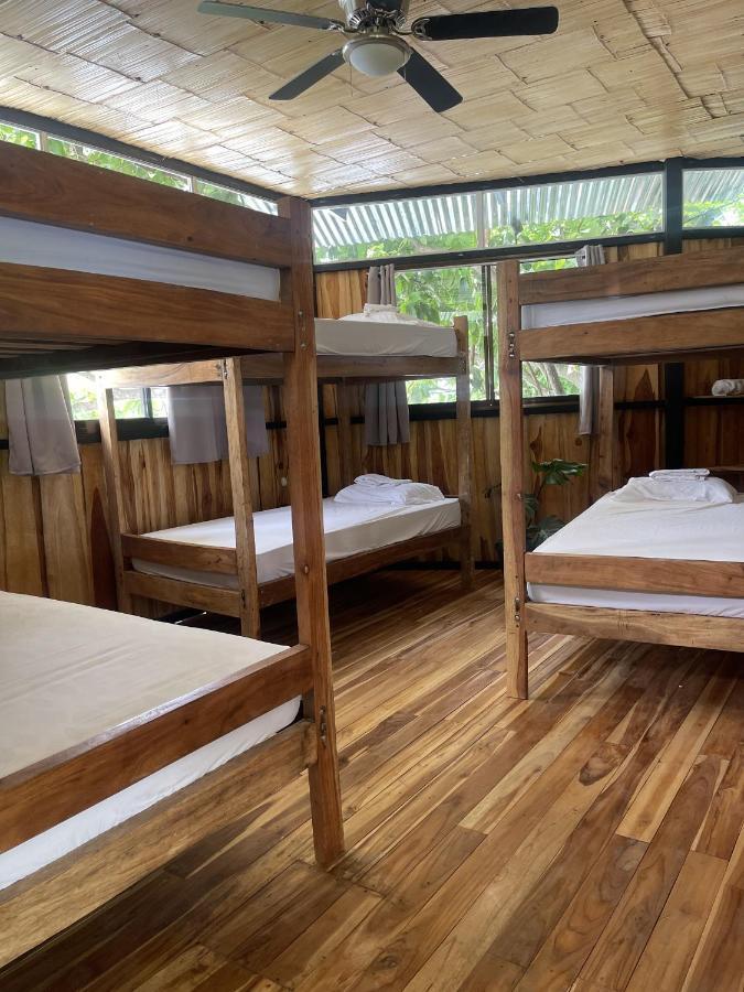El Gato Rojas Surf Hostel Playa Santa Teresa  Zewnętrze zdjęcie