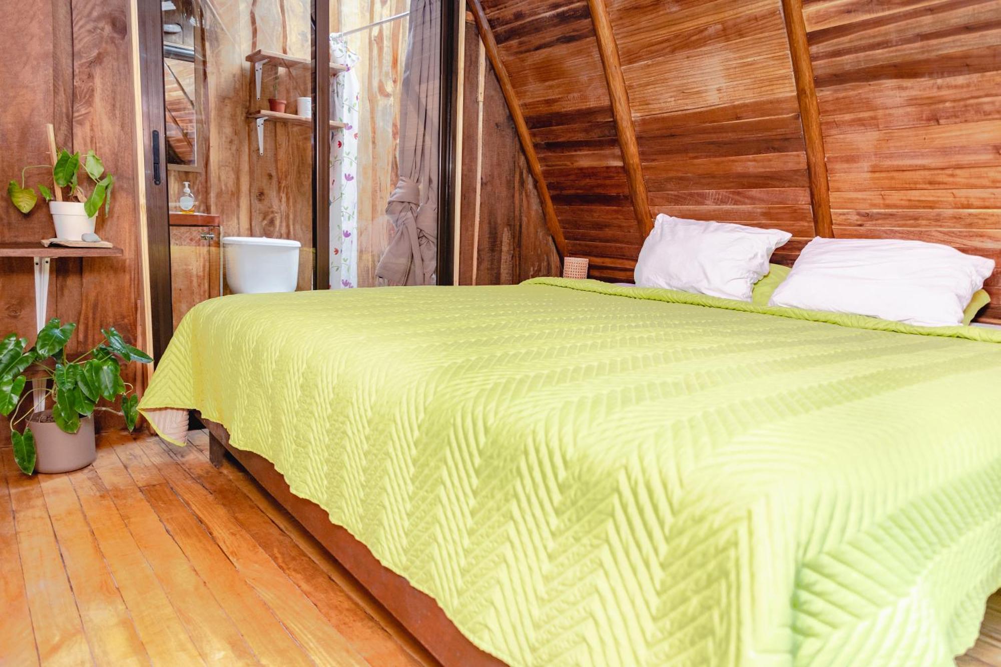 El Gato Rojas Surf Hostel Playa Santa Teresa  Zewnętrze zdjęcie